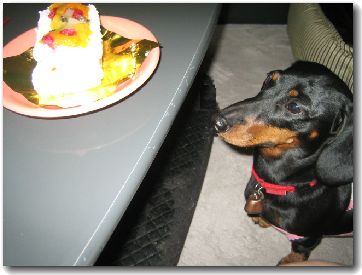 お誕生日の犬用ケーキ ミニチュアダックス チョコのブログ